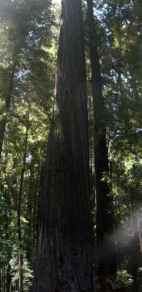 FounderPano FounderPano