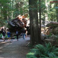 IMG 0594 IMG 0594
