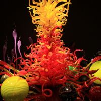 IMG 9158 IMG 9158