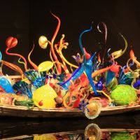 IMG 9161 IMG 9161