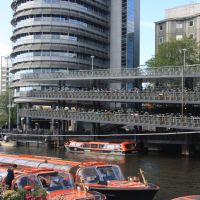IMG 9532 IMG 9532