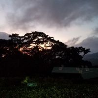 20180329 181144 20180329 181144