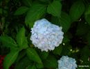 DSCN2108