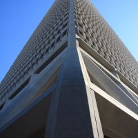 IMG 8793 IMG 8793