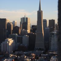 IMG 8833 IMG 8833