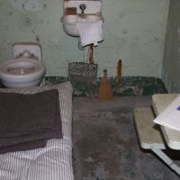 IMG 8875 IMG 8875