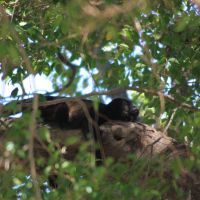 IMG 9161 IMG 9161
