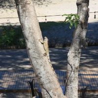 IMG 9164 IMG 9164