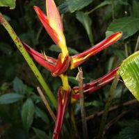 IMG 9188 IMG 9188