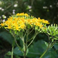 IMG 9194 IMG 9194