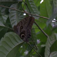 IMG 9203 IMG 9203