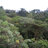IMG 9254 IMG 9254
