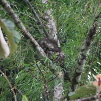 IMG 9266 IMG 9266