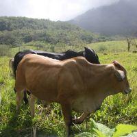 IMG 9284 IMG 9284