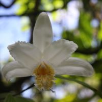 IMG 9299 IMG 9299