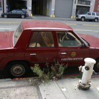 sf06 sf06
