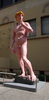 IMG 6311 IMG 6311