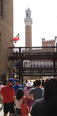 IMG 6394 IMG 6394