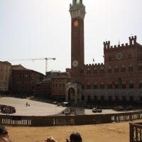 IMG 6395 IMG 6395