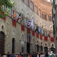 IMG 6436 IMG 6436
