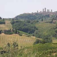 IMG 6443 IMG 6443