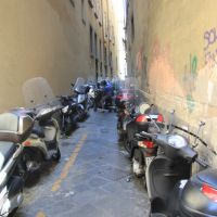 IMG 6559 IMG 6559
