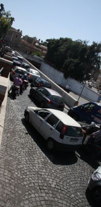 IMG 7442 IMG 7442