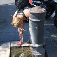 IMG 7604 IMG 7604