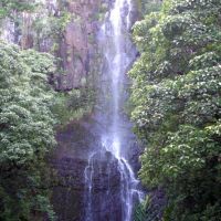 hana06 hana06