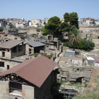 IMG 7149 IMG 7149