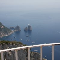 IMG 7317 IMG 7317
