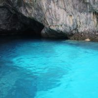IMG 7340 IMG 7340