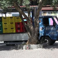 IMG 7399 IMG 7399