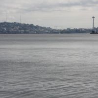 IMG 9010 IMG 9010