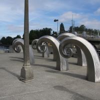 IMG 9016 IMG 9016