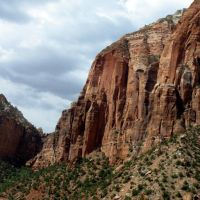 zion01 zion01