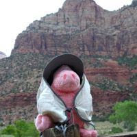 zion03 zion03