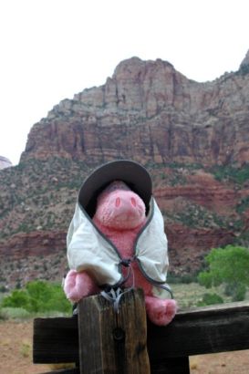 zion03 zion03