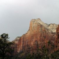 zion04 zion04