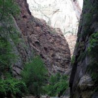 zion06 zion06
