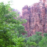 zion07 zion07