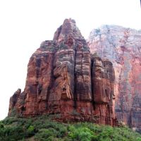 zion08 zion08