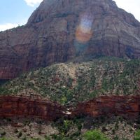 zion11 zion11