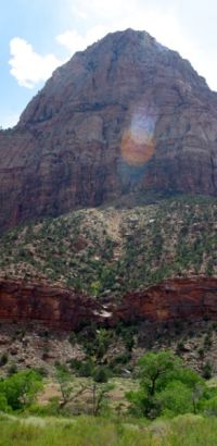 zion11 zion11